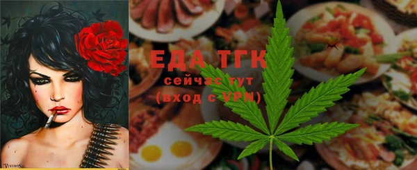 тгк Бородино