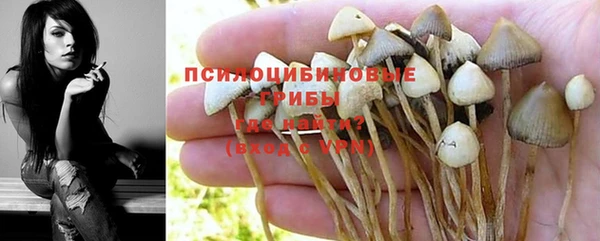 тгк Бородино