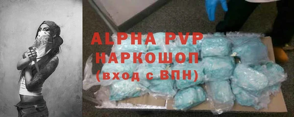 прущие грибы Снежногорск