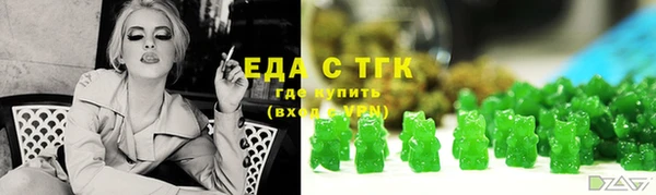 тгк Бородино