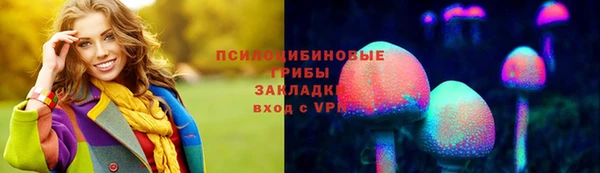 тгк Бородино