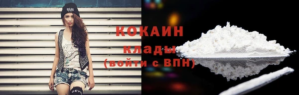 тгк Бородино