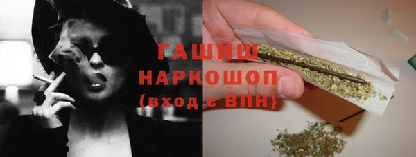 шишки Саяногорск