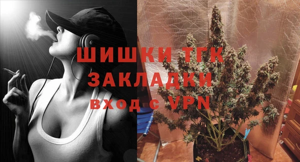 тгк Бородино