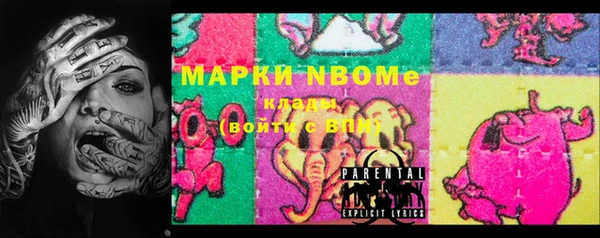 шишки Саяногорск