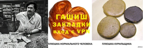 тгк Бородино