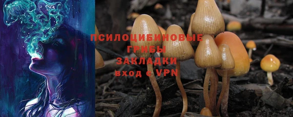 амф Бугульма