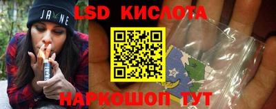 индика Новодвинск