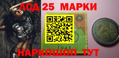индика Новодвинск