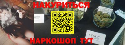 индика Новодвинск