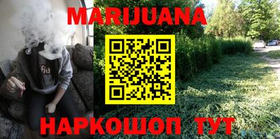 индика Новодвинск