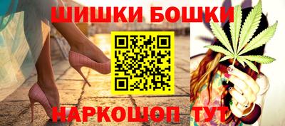 шишки Новокубанск