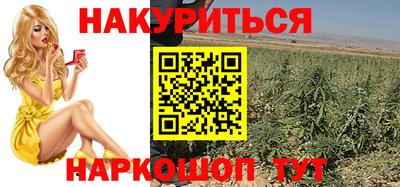 шишки Новокубанск