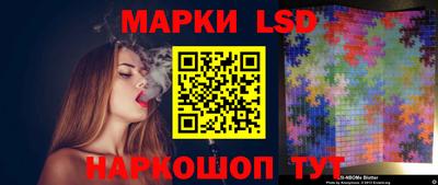 индика Новодвинск