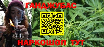 шишки Новокубанск