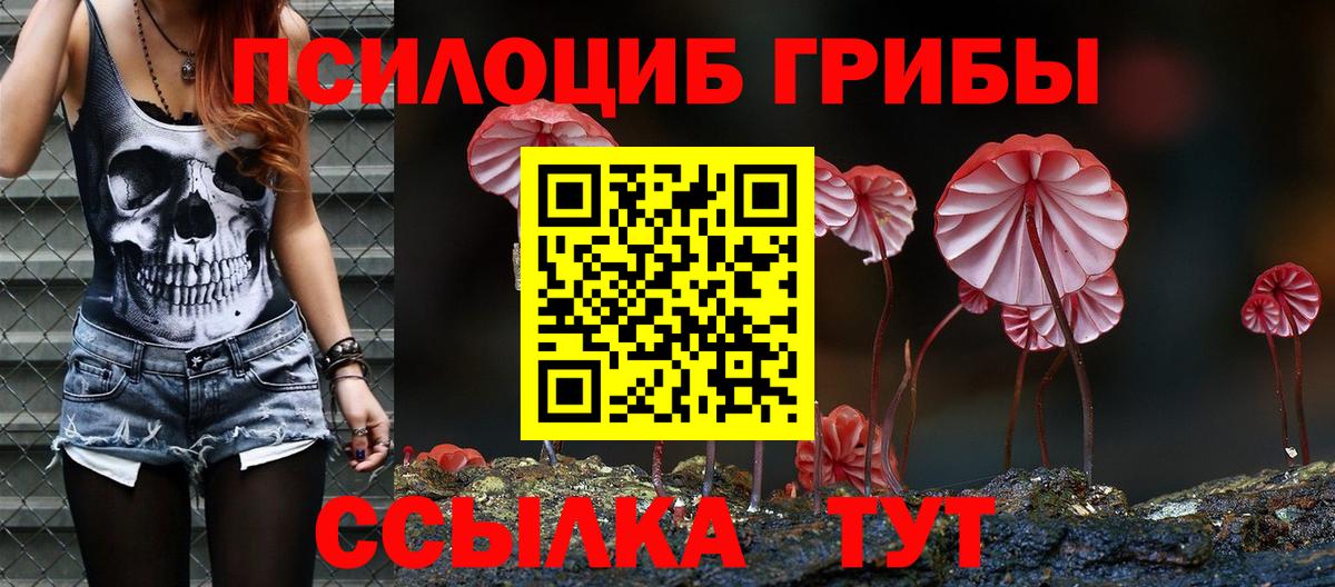 Галлюциногенные грибы Cubensis Валуйки